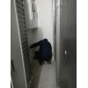 东城区杀虫公司除虫灭鼠靠的是技术实力