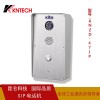门禁一键拨号IP 电梯专用电话机 壁挂式金属防暴