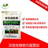 枯草芽孢杆菌