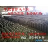 高旺公司大量生产销售甲醇油炉头 导热快 不飞油