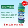 进口施力龙韭菜专用叶面肥
