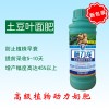 进口施力龙土豆专用叶面肥