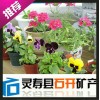 新产种花蛭石使用方法和要求  石开矿产品加工厂