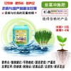 进口淘金者韭菜专用冲施肥