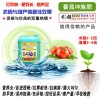 进口淘金者番茄专用冲施肥