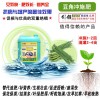 进口淘金者豆角专用冲施肥