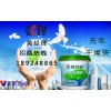广东品牌加盟js防水涂料施工价格厂家直销