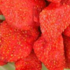 稚嫩草莓干/甜蜜多汁稚嫩草莓干