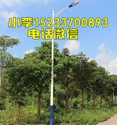 天津6米路灯杆