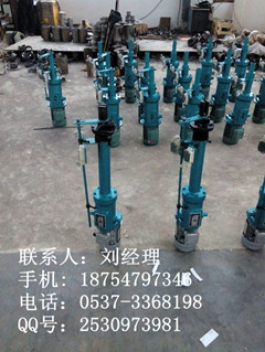 电动推杆 DT