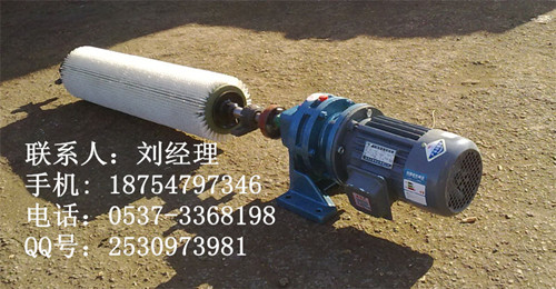 GSQ电动滚刷式皮带清扫器
