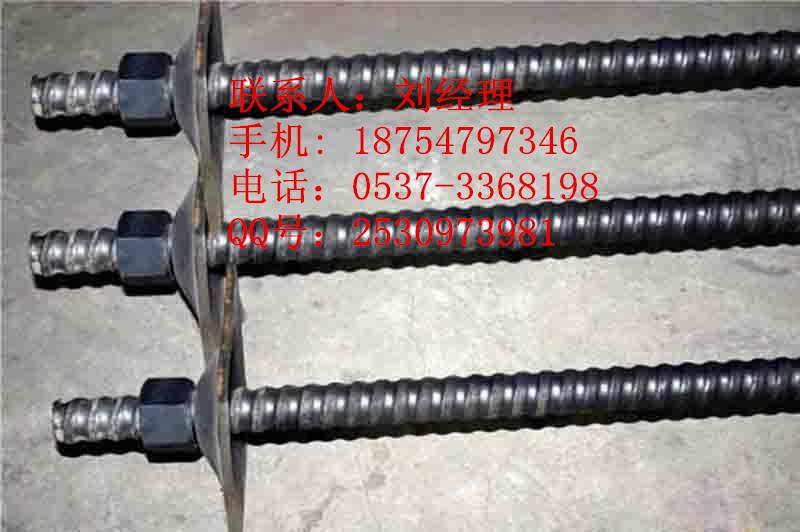 锚杆1