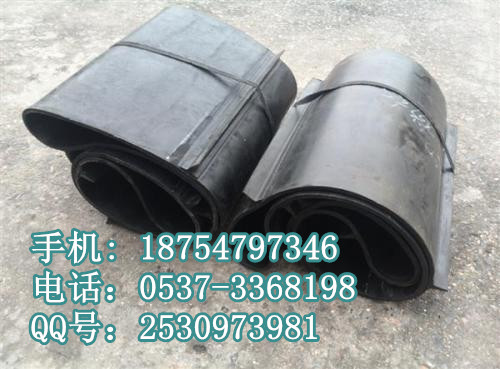 除铁器皮带3