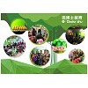 成都中小学1对1课外辅导班加盟