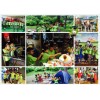 成都祝博士运营中心 中小学课外作业辅导班怎样招生