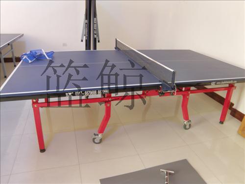 005高档乒乓球台