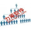 电子股网站制作,专业销售直销软件