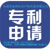 专利权的终止有哪些主要原因？金林10年行业经验值得选择