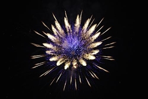 生日庆典专用烟花/瑞彩烟花爆竹sell/新型安全环保