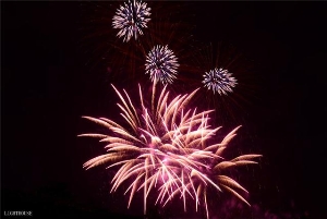 哈尔滨市烟花爆竹/瑞彩烟花爆竹sell/烟花哪家好
