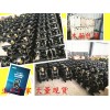 煤矿BQG165/0.25气动隔膜泵质量最好的生产厂家