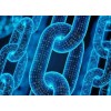 征战全球APP软件系统源码定制开发