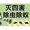 深圳灭老鼠公司|深圳老鼠防治中心报道灭鼠方法和后期预防