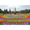 大型风车节设计公司承接风车节活动