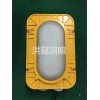 BFC8123LED防爆应急灯