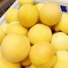 炎陵黄桃