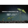 新华国际期货预留5.5美金直招稳定靠谱资金安全 不限手数