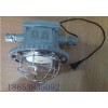 DGS18瓦长型LED隔爆型LED巷道灯