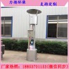 重庆沼气火炬的燃烧原理和操作方法