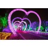 保定城市灯光节厂家梦幻灯光节灯光秀设计租赁