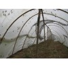 结实加厚蚂蚱网棚质量好纯新料茂伦蚂蚱网厂家定做成品网棚