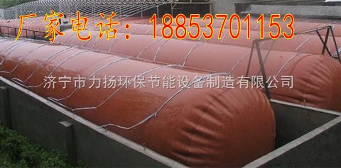红泥沼气袋12 (2)_conew1