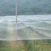 加厚耐用防虫网纯新料脐橙防虫网质量好加宽好用果树网纱