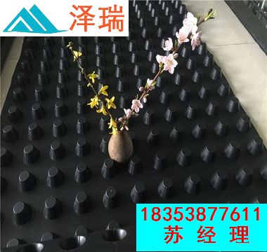 43652.7258865162_timg