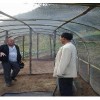 加厚结实胡蜂网棚厂家定做马蜂过冬活动网棚