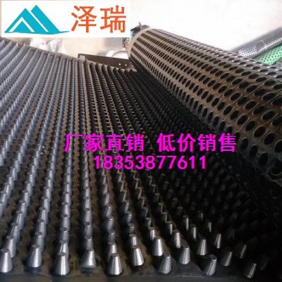5公分卷材排水板