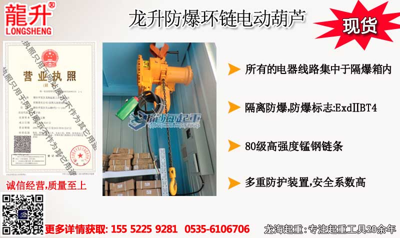 龙升防爆环链电动葫芦图