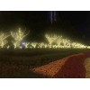 灯光展厂家活动经验策划制作