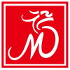青岛到东北三省 湖南湖北全境的整车零担 长途搬家