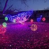 大型梦幻新春灯光节制作策划灯光节策划厂家