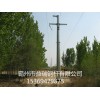 十堰市10kv16米双回路转角钢杆 益瑞