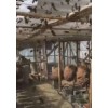 特厚胡峰养殖网棚25目蚂蚱养殖网厂家批发热卖