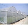 大厂家批发防虫网育苗保护罩脐橙柑橘种植覆盖防虫害冰雹经济划算