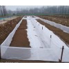年前特卖青蛙围网全新料 耐腐蚀抗紫外线 遮阳防逃结实耐用