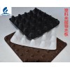 塑料疏水/排水板/工程顶板排水板/优质生产厂家