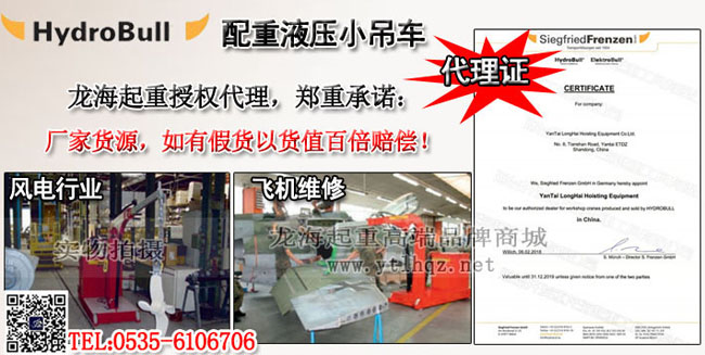 德国配重工业起重机案例